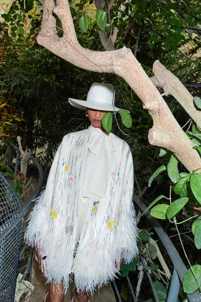 Look 36
